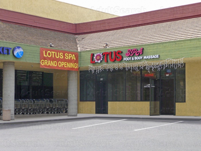Praxis Petersburg Saint Massage Spa Parlors Lotus