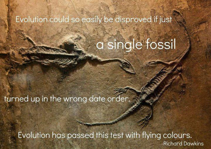 Fossil Dating Wrong