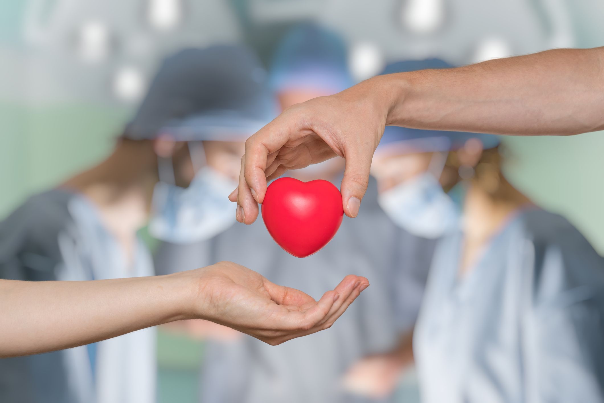 Mcr Transplant Dating Sites Heart Juicey